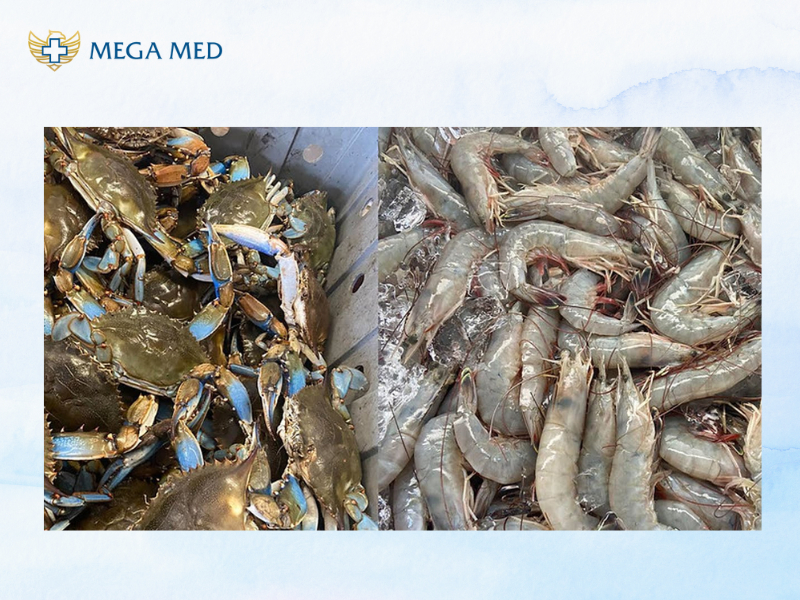 thực phẩm tốt cho dương vật